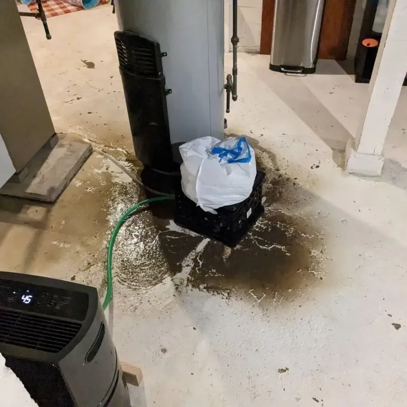 Sewage Backup Cleanup Service in Wood Village, OR